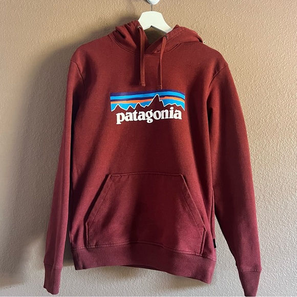Patagonia Other - Patagonia Pullover Hoodie Jacket Regular Fit Size Small